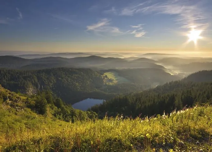 Waldlicht Titisee
