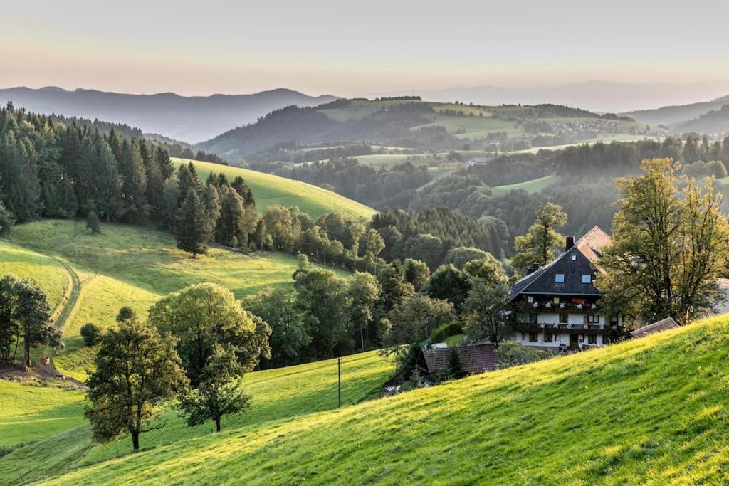 Appartement Waldlicht